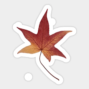 Red chestnut leaf from Brittany, France. Sticker